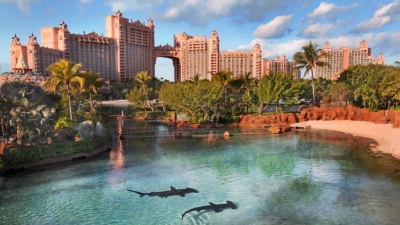 Atlantis Resort Bahamas | The Greatest Resort in the Bahamas | SpectacularStays