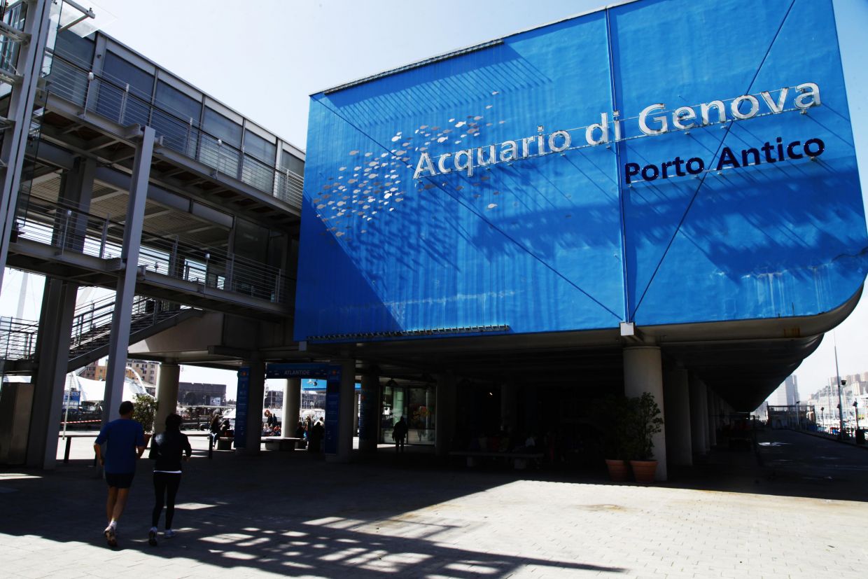 review of acquario di genova porto antico