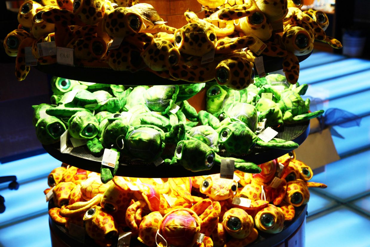 nemo and other gifts at the aquarium in genoa