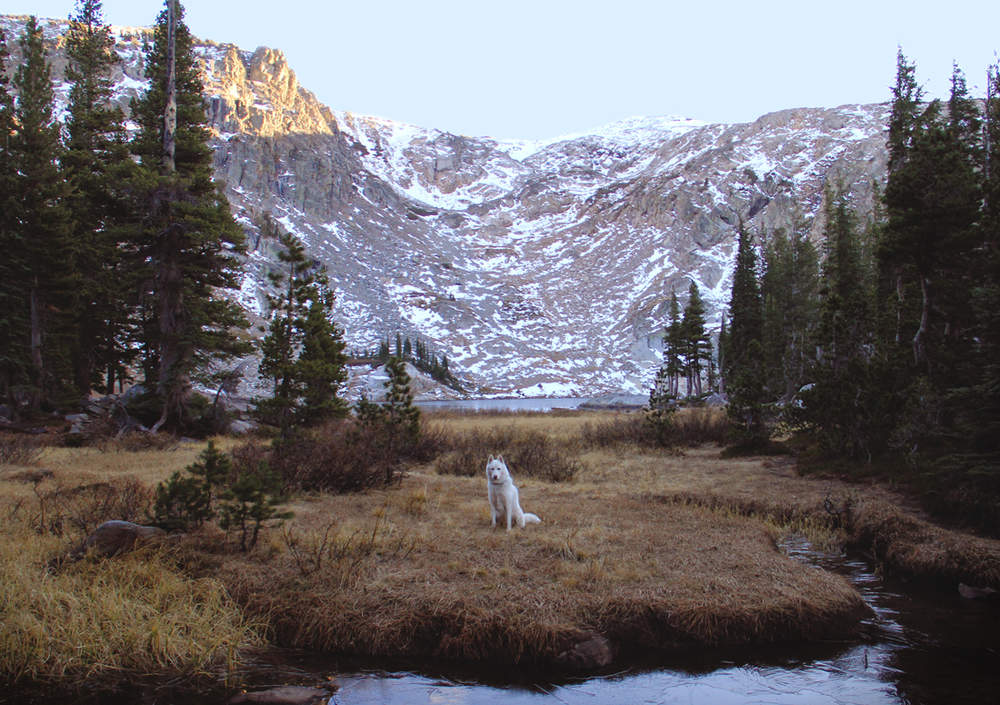 John & Wolf United States Snowy mountains