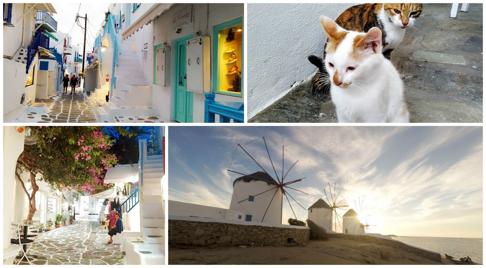 luxury shopping sightseeing mykonos